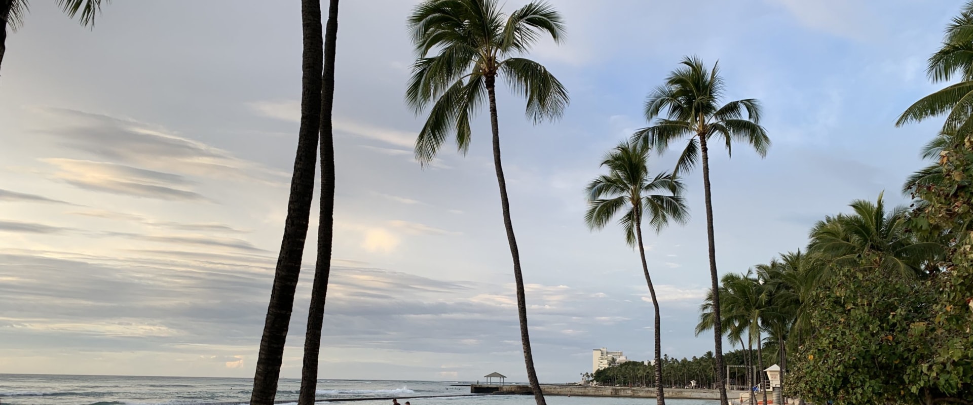 Gaining Insights into Customer Behavior and Preferences in Hawaii with Technology