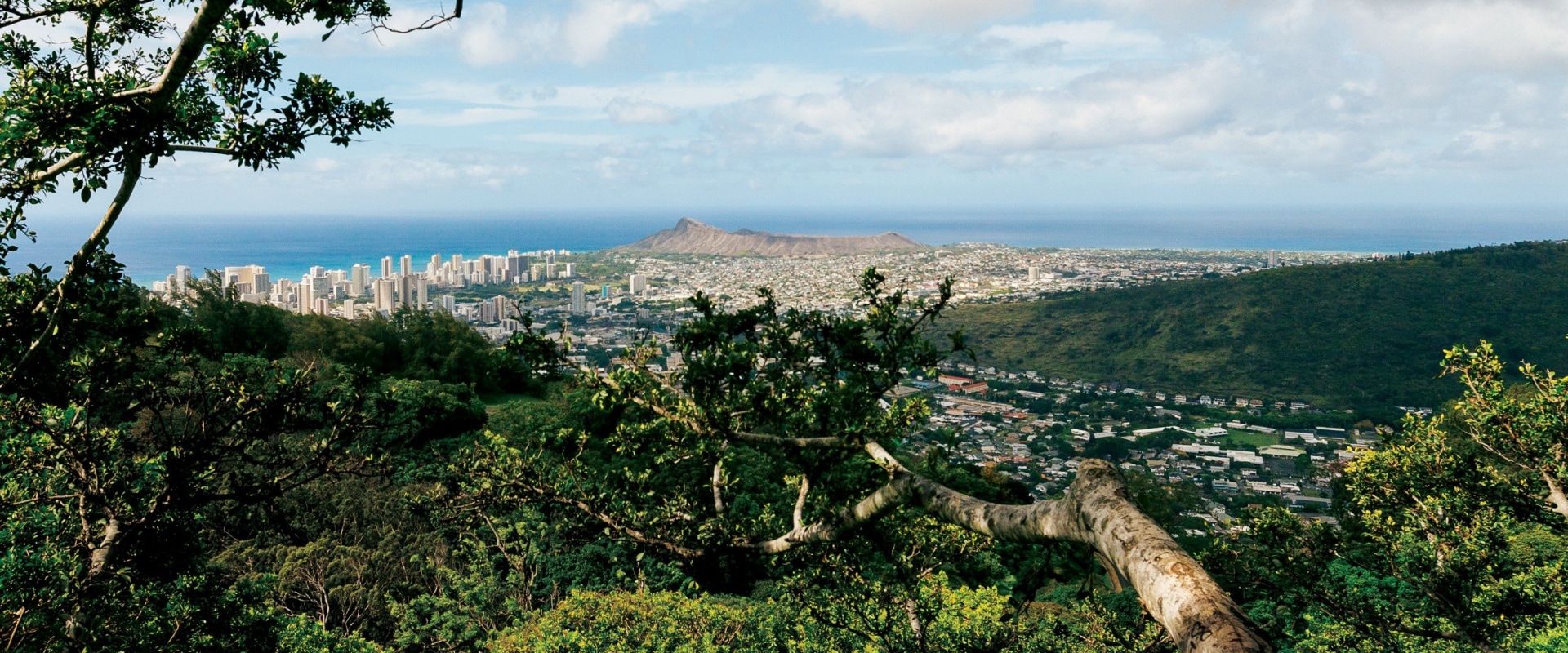 Marketing Your Business in Hawaii: 5 Tips for Newcomers to Succeed